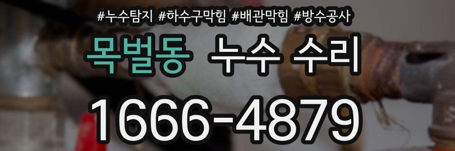 목벌동 누수 수리