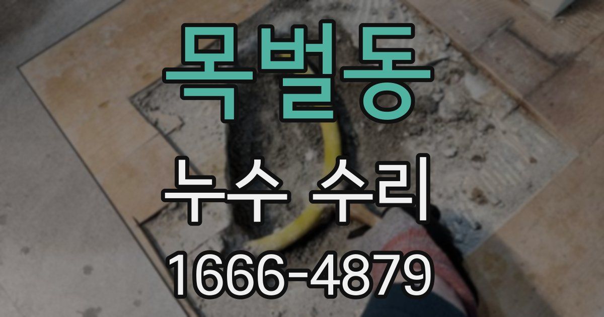 목벌동 누수 수리