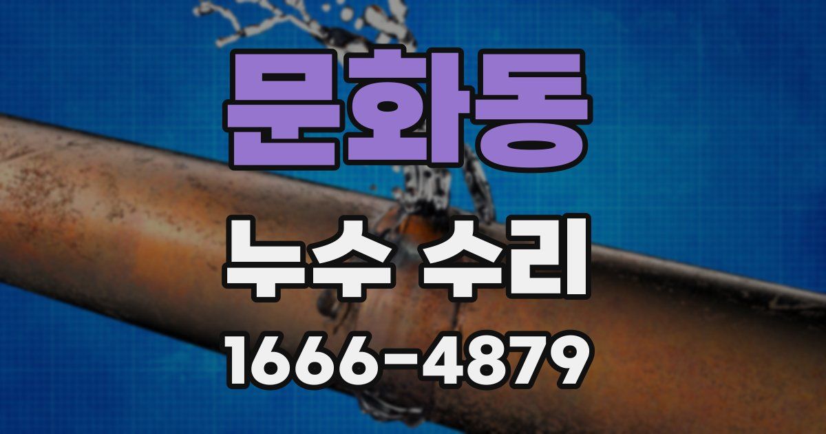 문화동 누수 수리