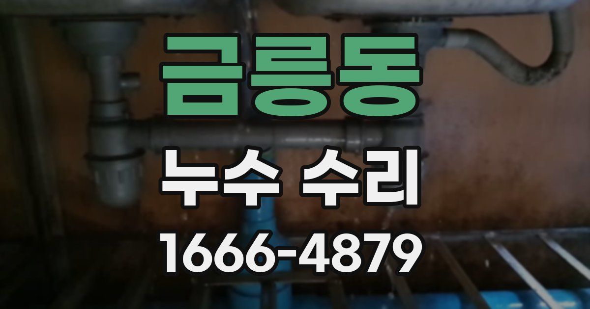 금릉동 누수 수리