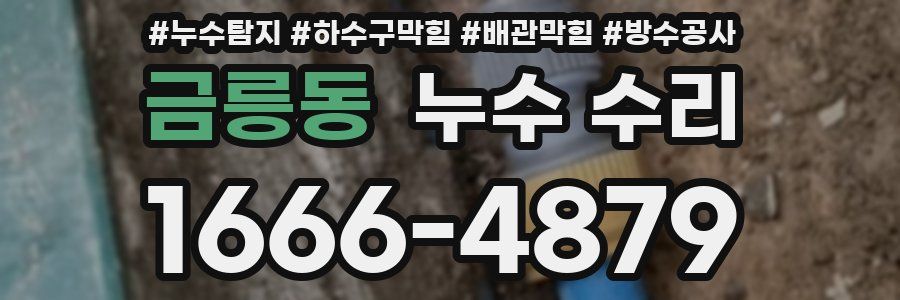 금릉동 누수 수리