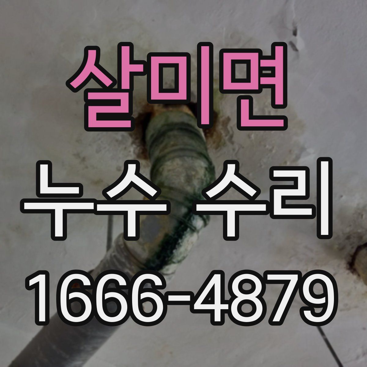 살미면 누수 수리