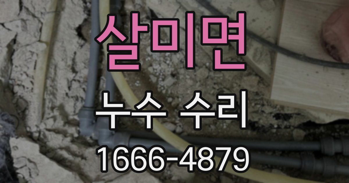 살미면 누수 수리