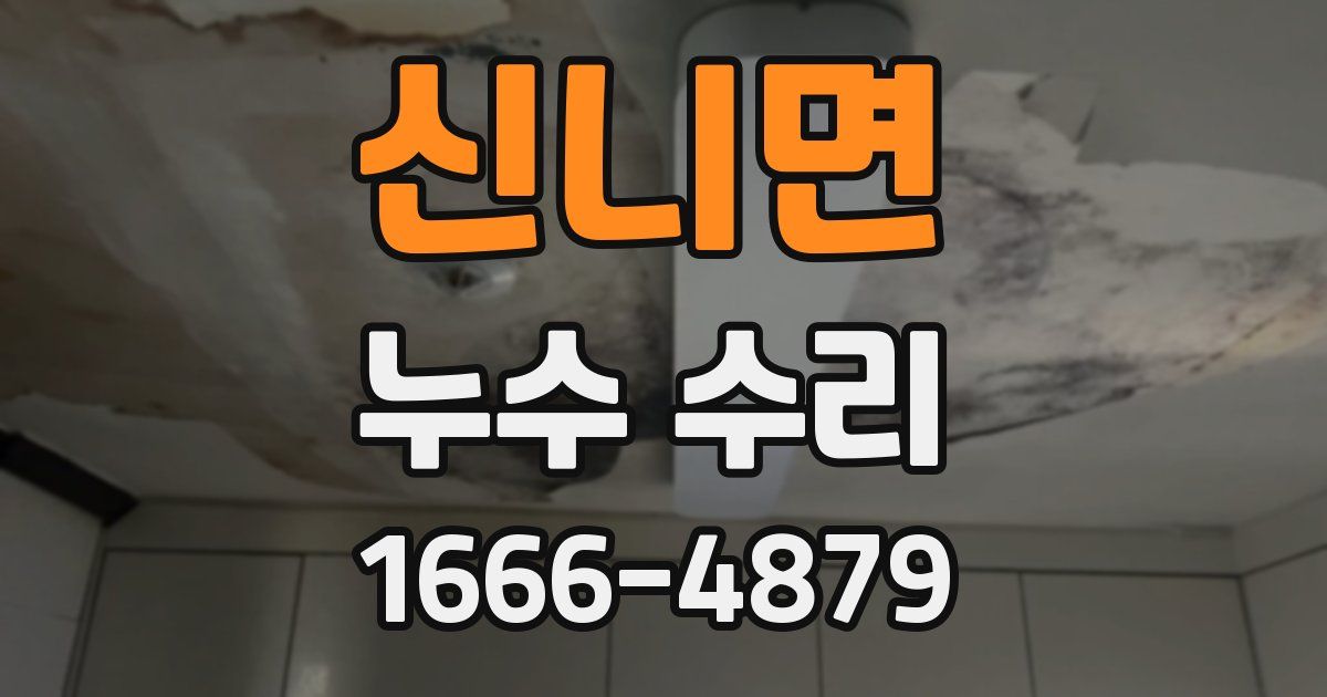 신니면 누수 수리