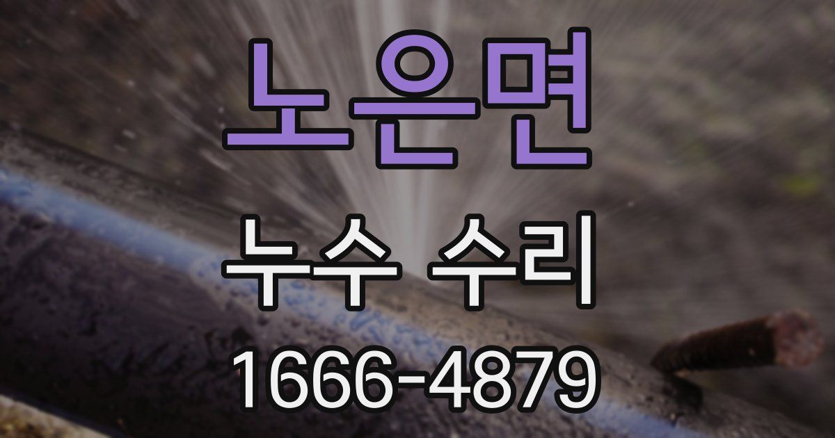 노은면 누수 수리