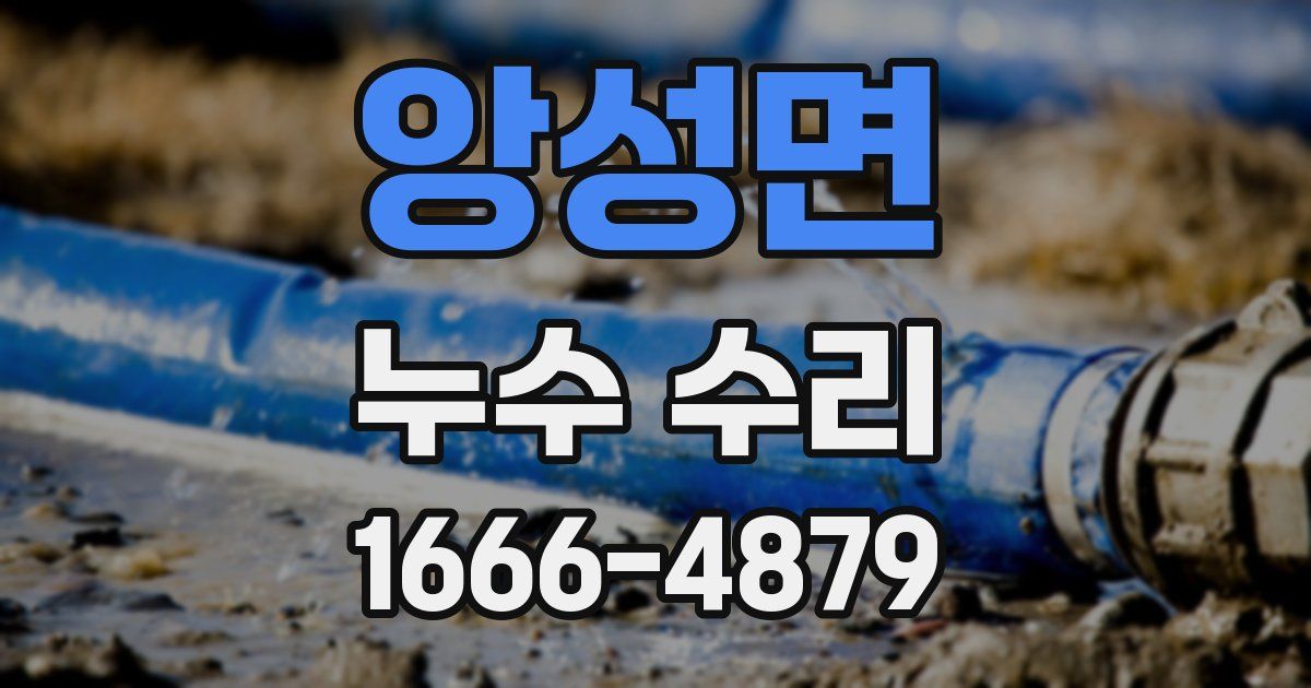 앙성면 누수 수리