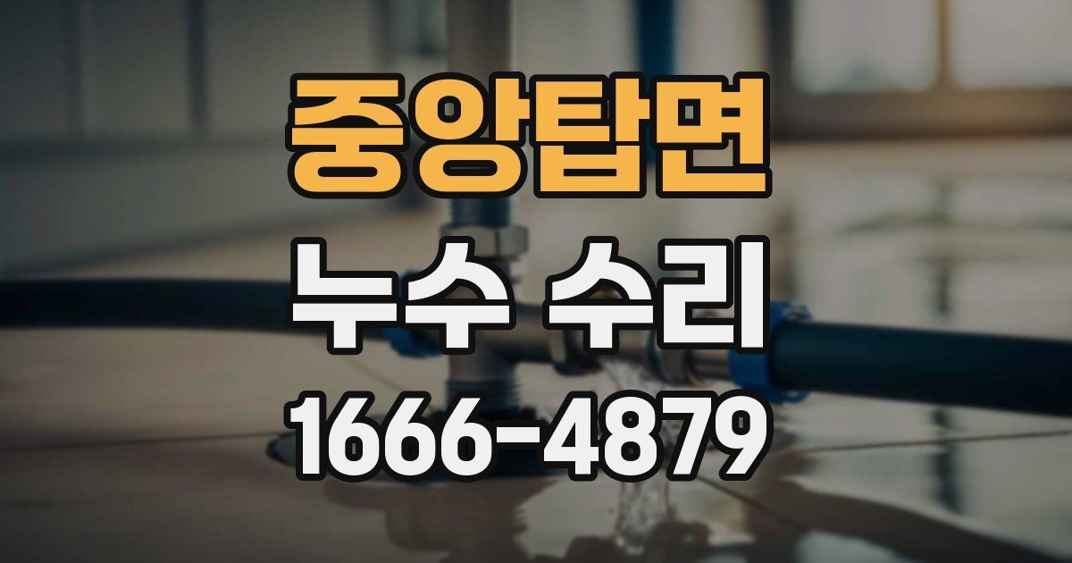 중앙탑면 누수 수리
