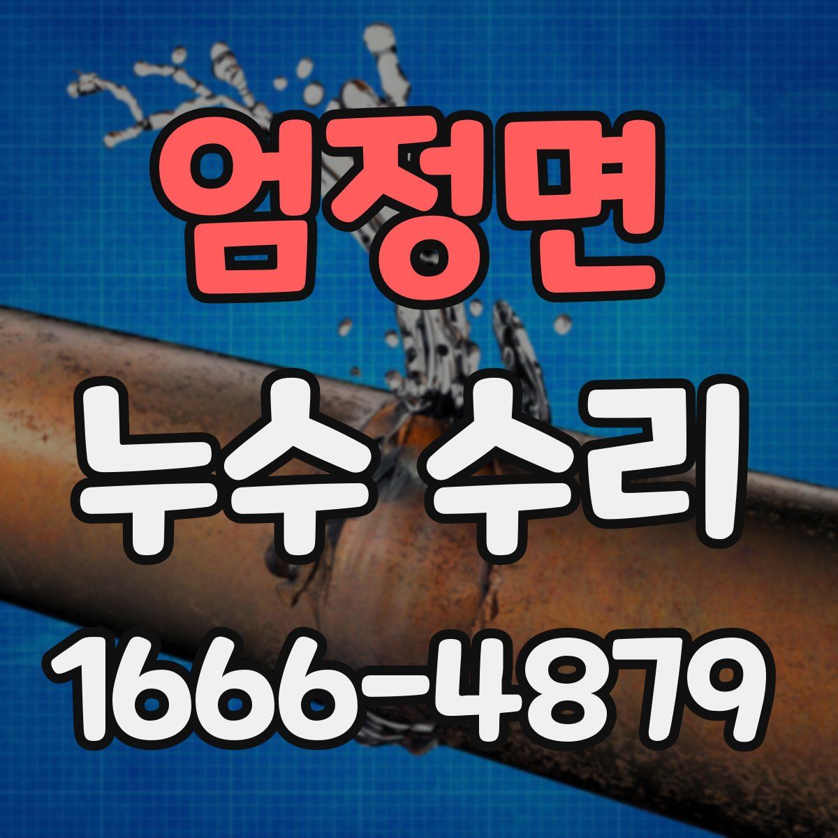 엄정면 누수 수리