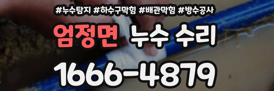 엄정면 누수 수리