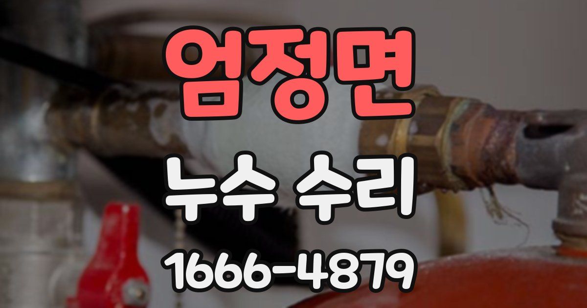 엄정면 누수 수리