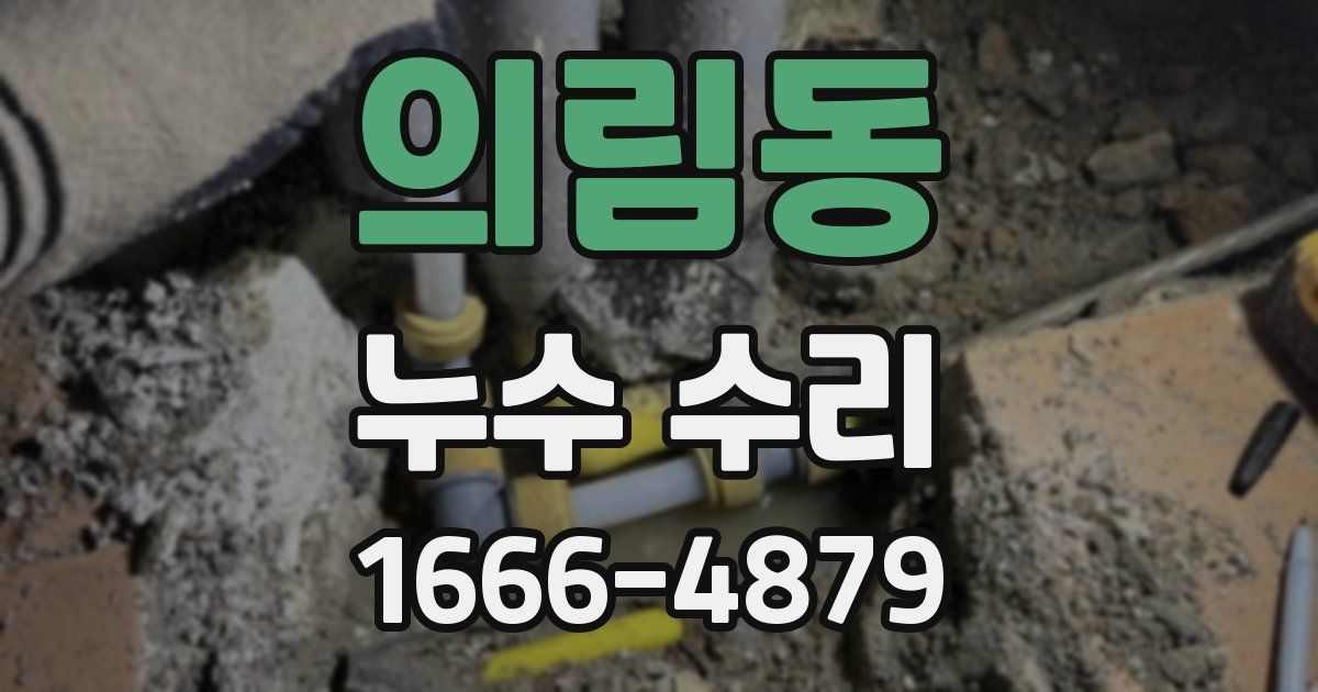 의림동 누수 수리