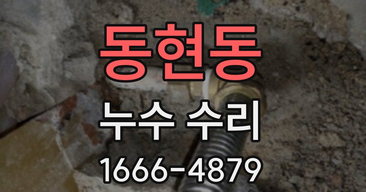 동현동 누수 수리