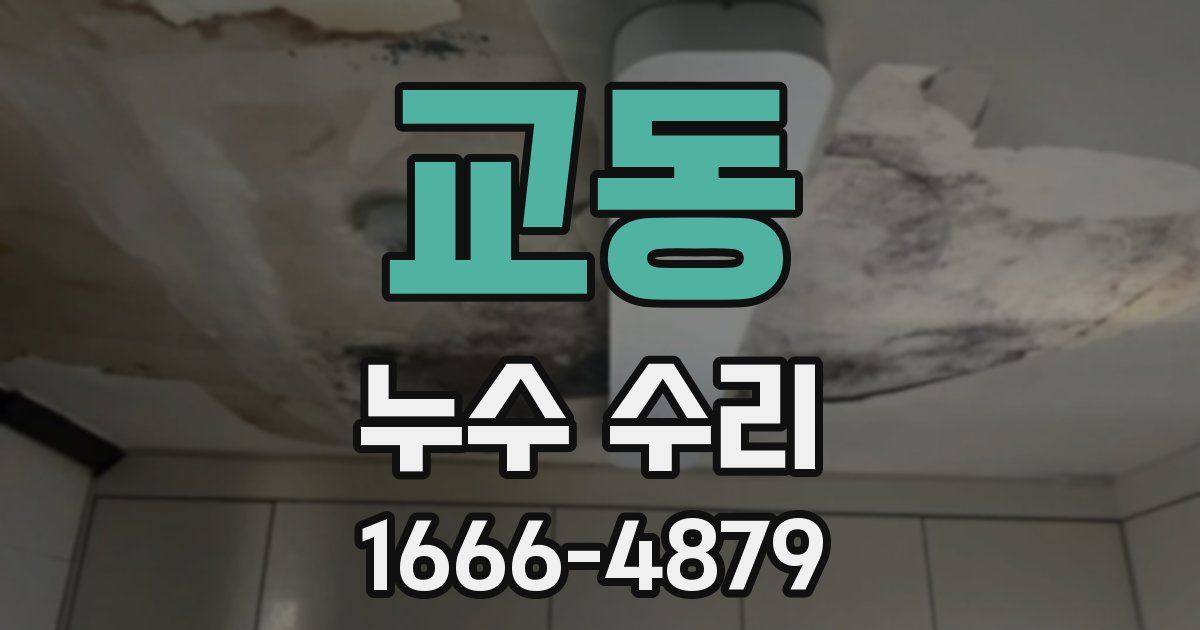 교동 누수 수리