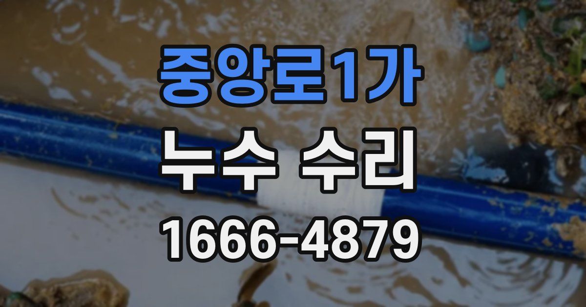 중앙로1가 누수 수리