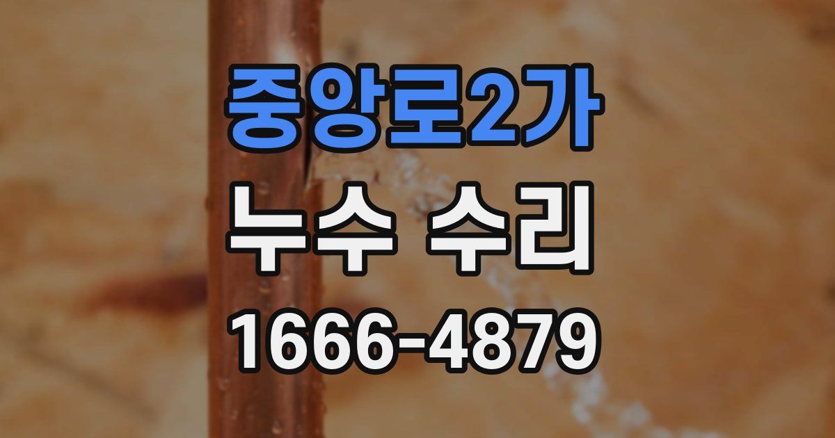 중앙로2가 누수 수리
