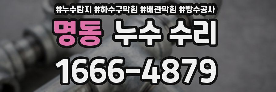 명동 누수 수리