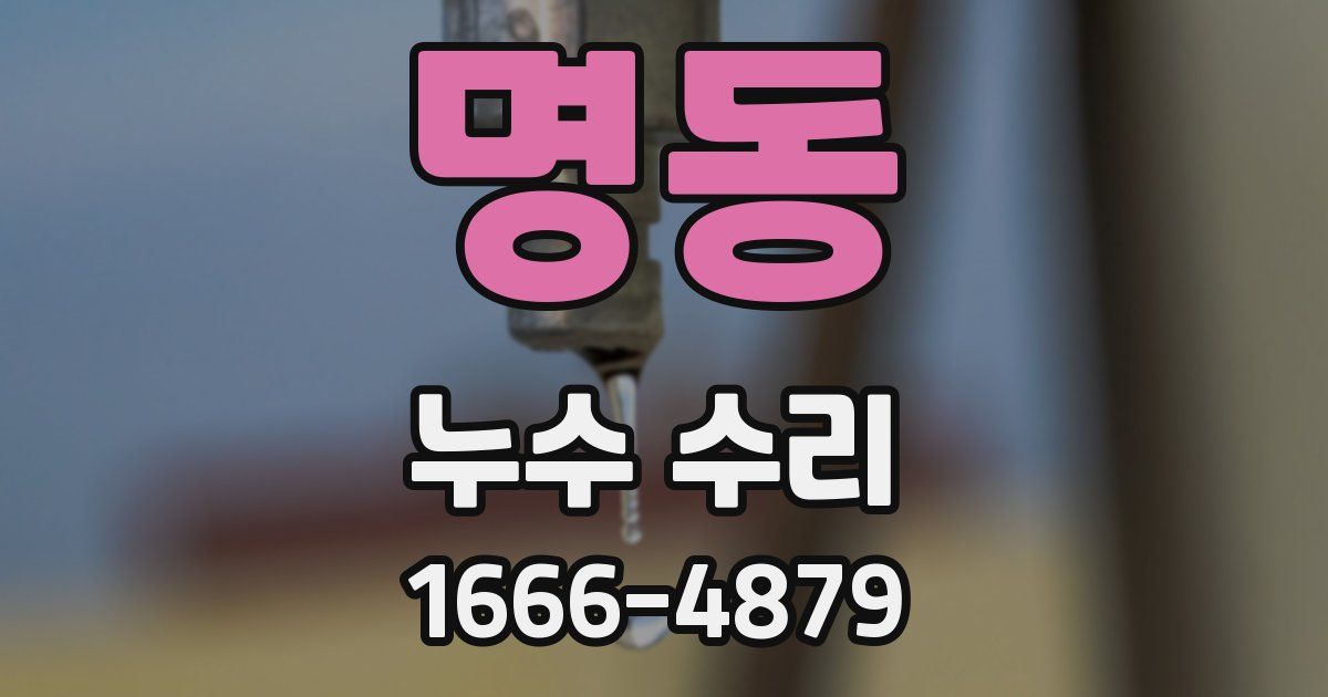 명동 누수 수리