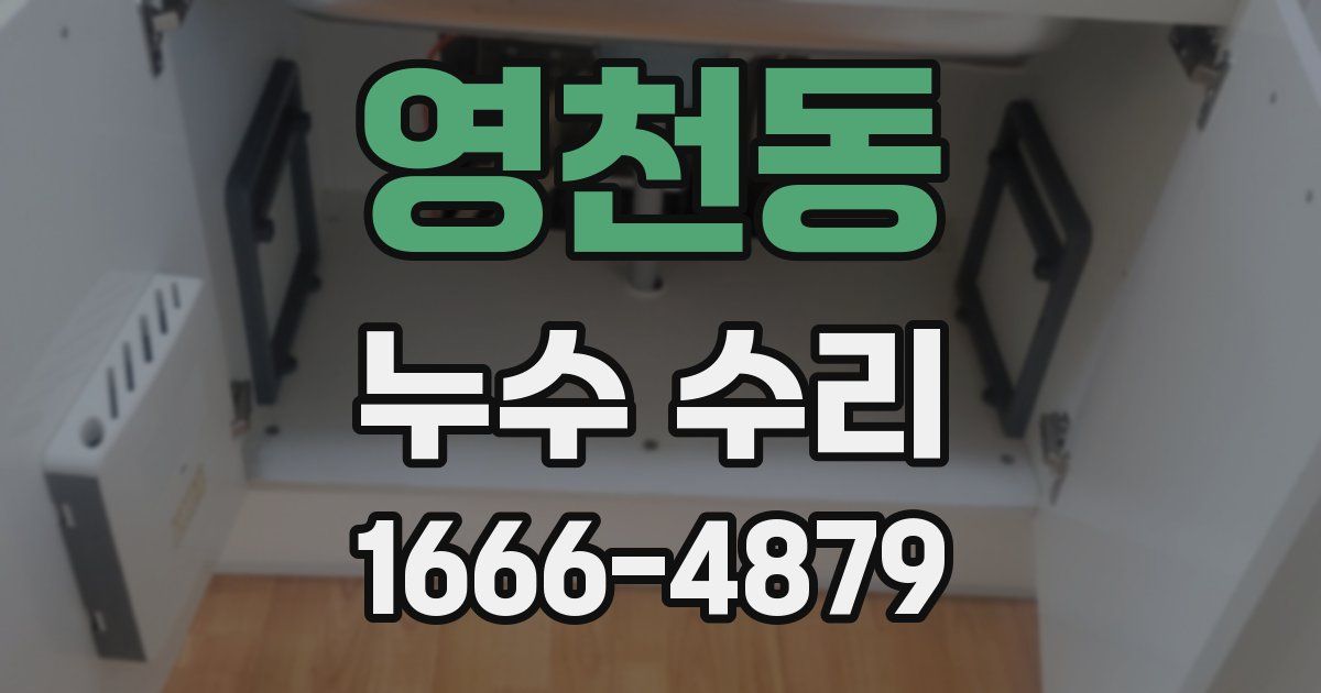 영천동 누수 수리