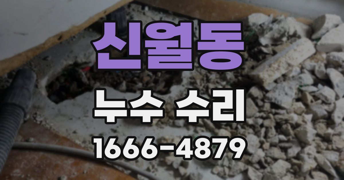 신월동 누수 수리