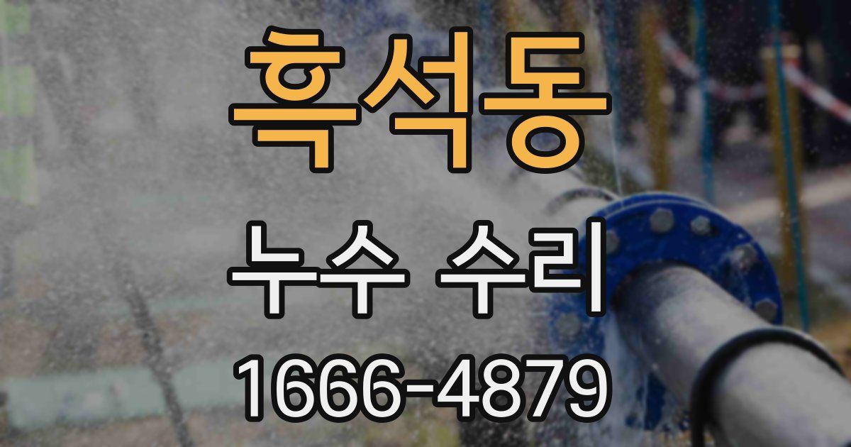 흑석동 누수 수리