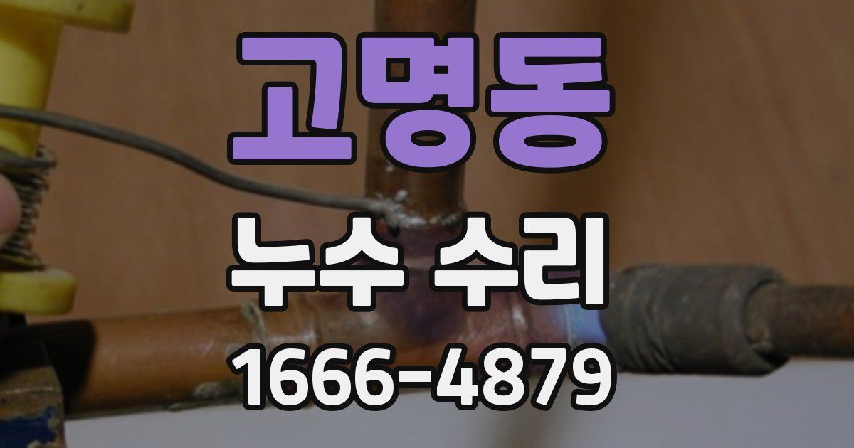 고명동 누수 수리