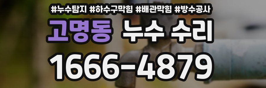 고명동 누수 수리