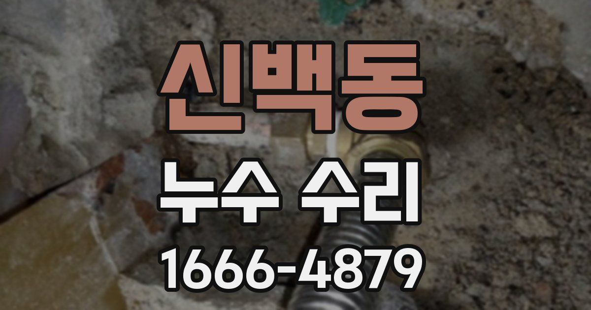 신백동 누수 수리