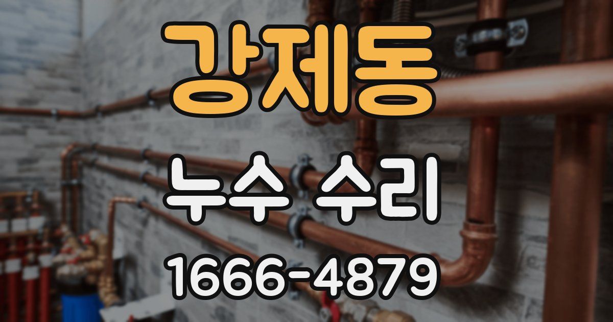 강제동 누수 수리