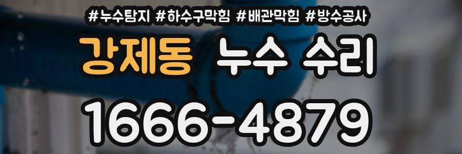 강제동 누수 수리