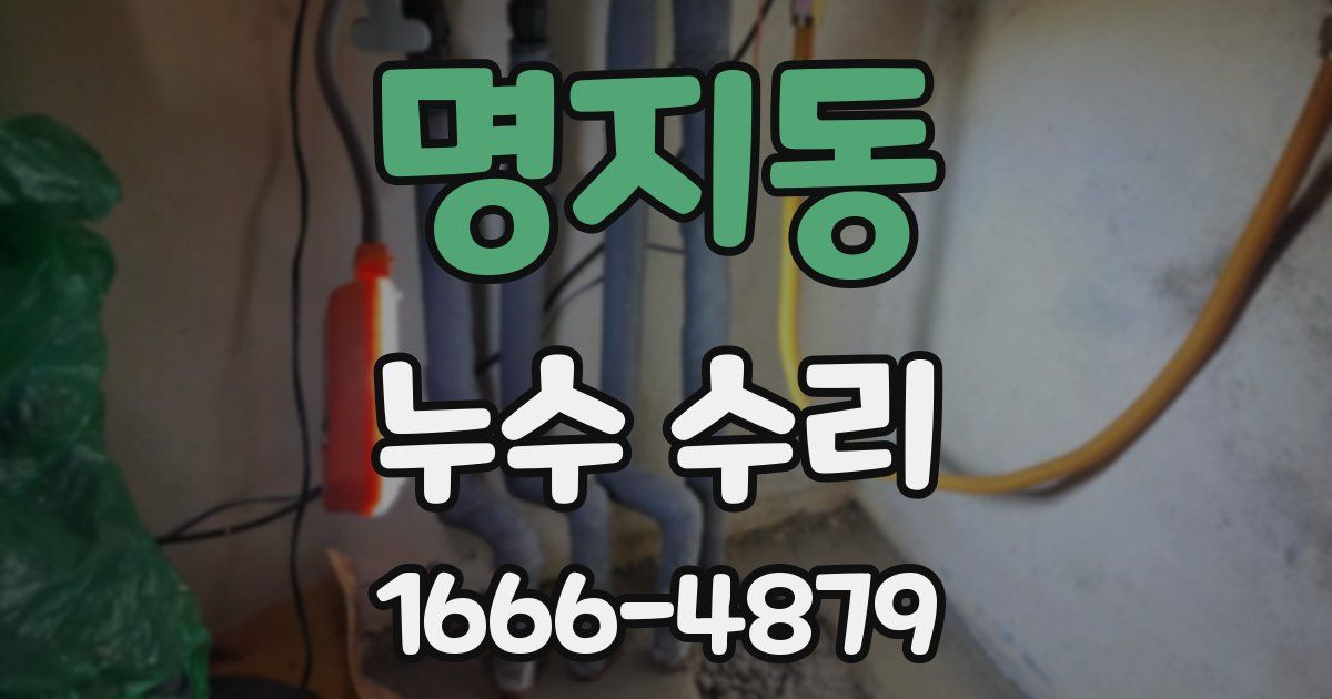 명지동 누수 수리