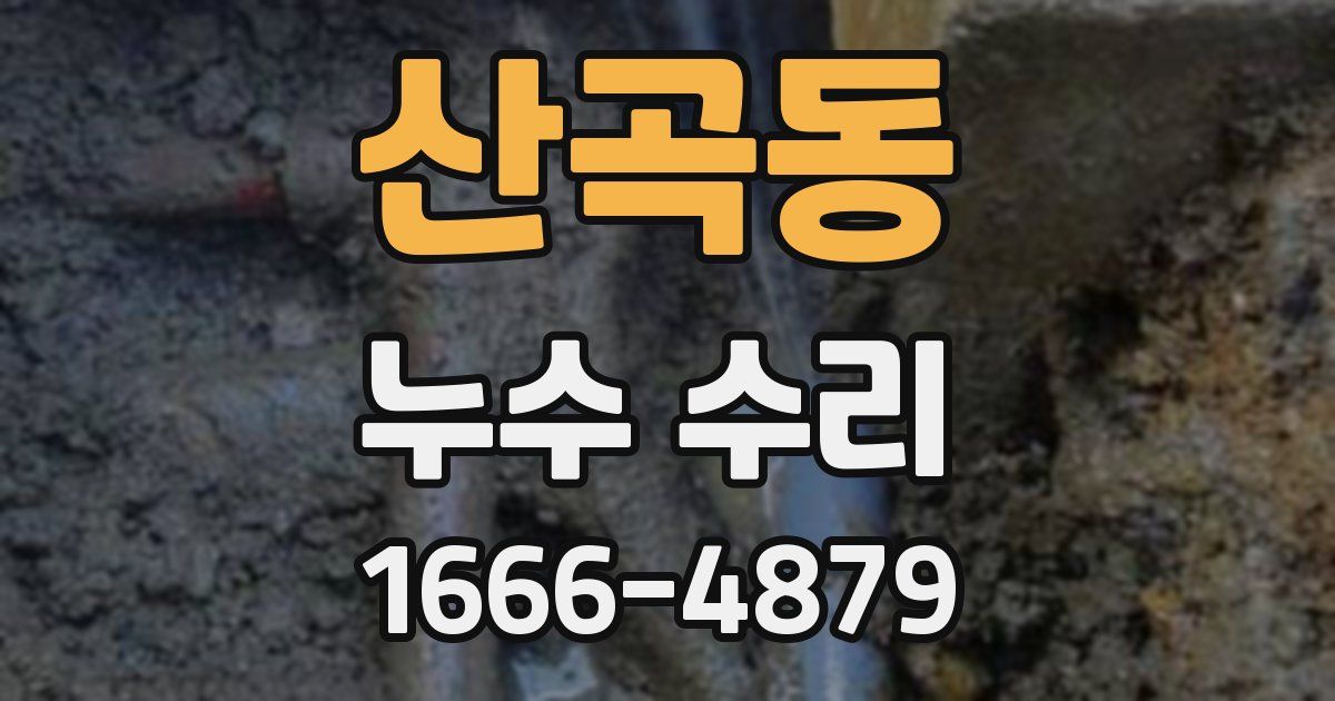 산곡동 누수 수리