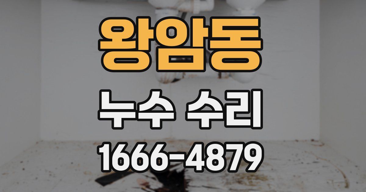 왕암동 누수 수리