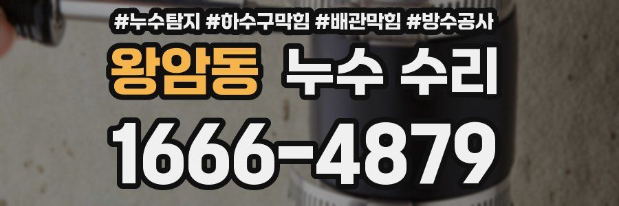왕암동 누수 수리