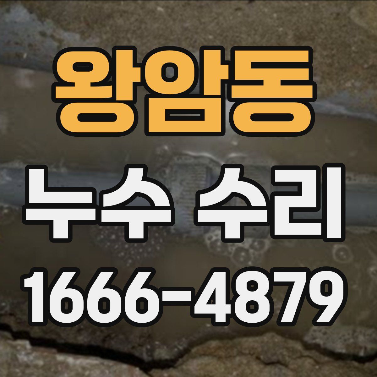 왕암동 누수 수리
