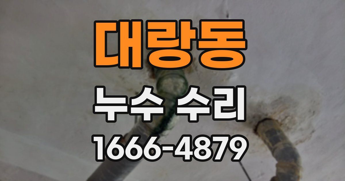 대랑동 누수 수리