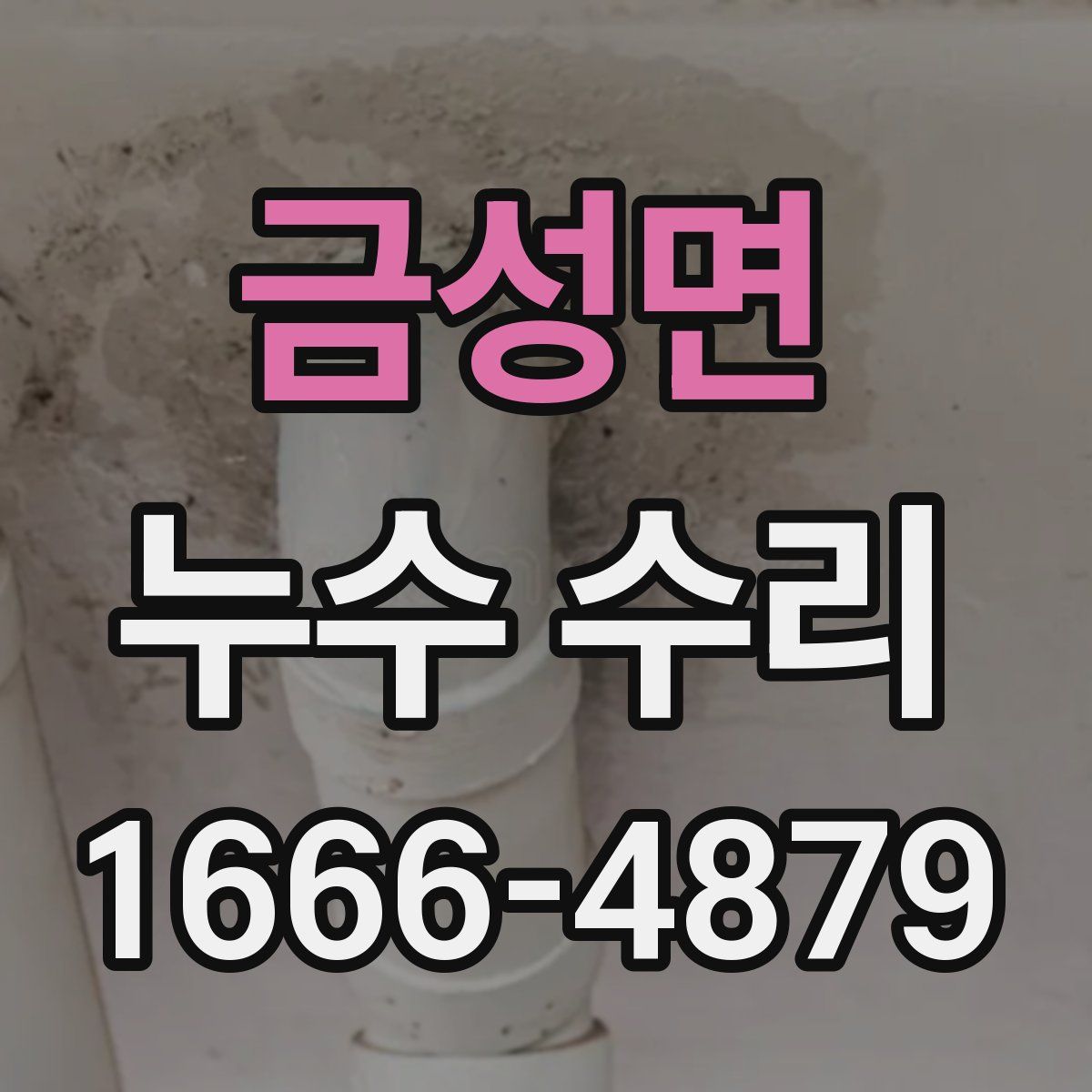 금성면 누수 수리