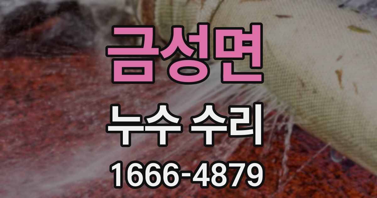 금성면 누수 수리
