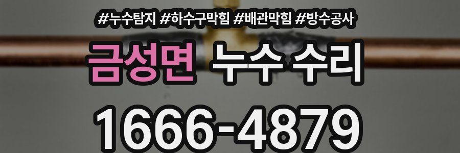 금성면 누수 수리