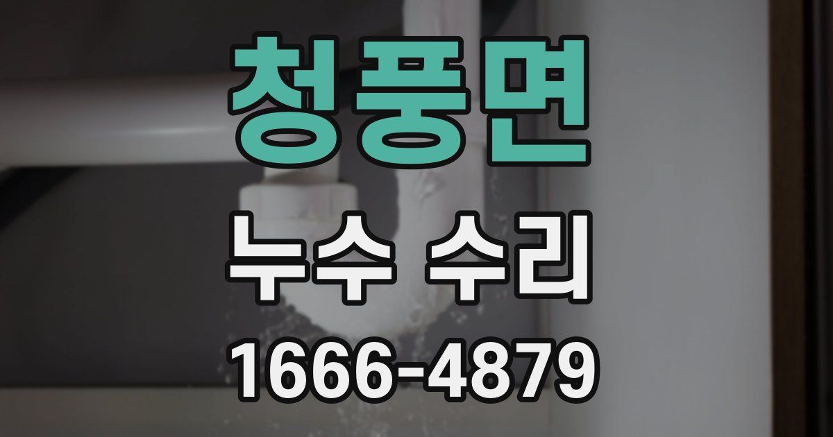 청풍면 누수 수리