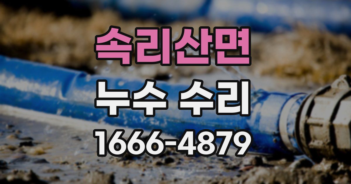 속리산면 누수 수리