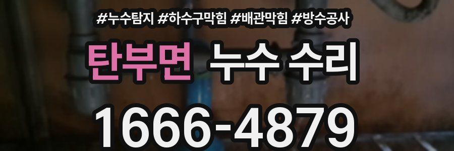 탄부면 누수 수리