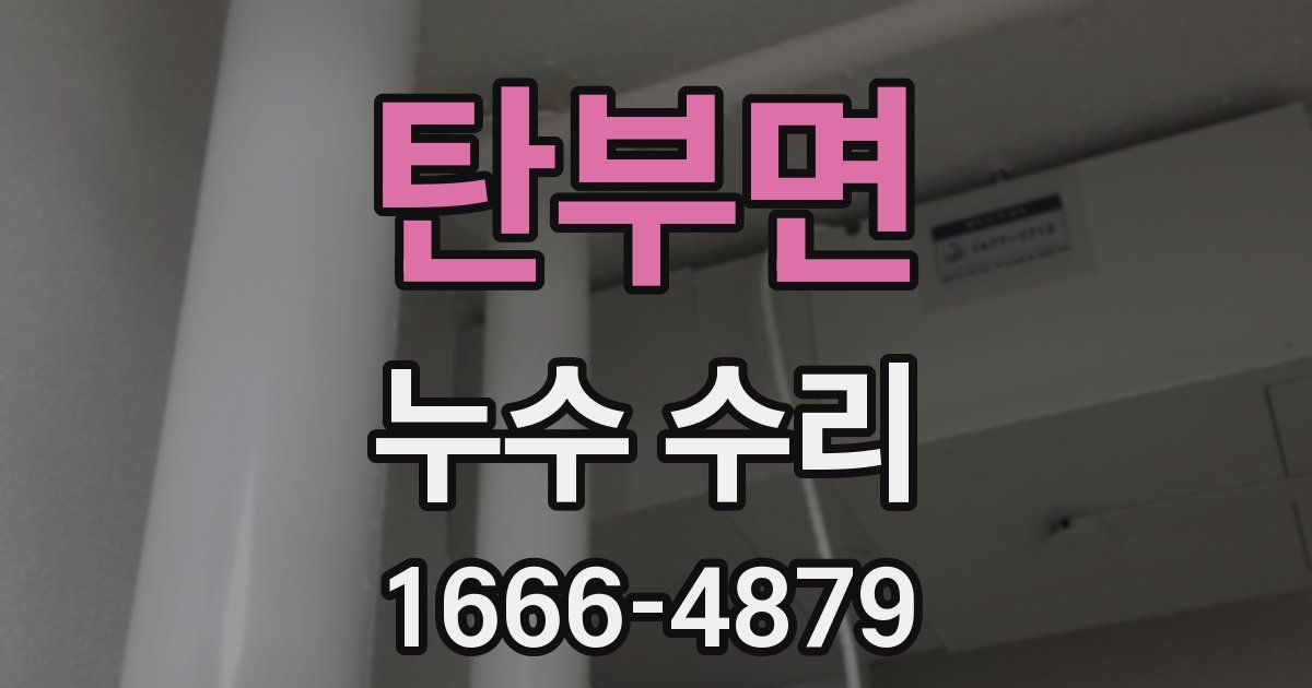 탄부면 누수 수리