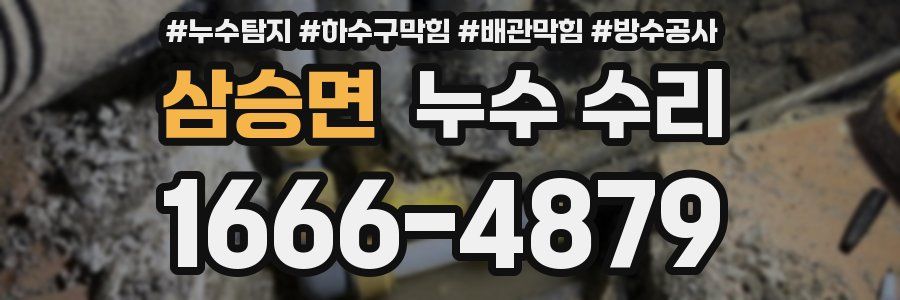 삼승면 누수 수리