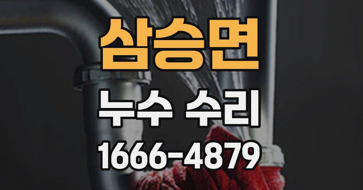 삼승면 누수 수리