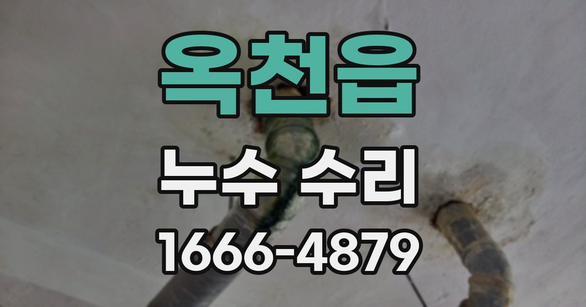 옥천읍 누수 수리