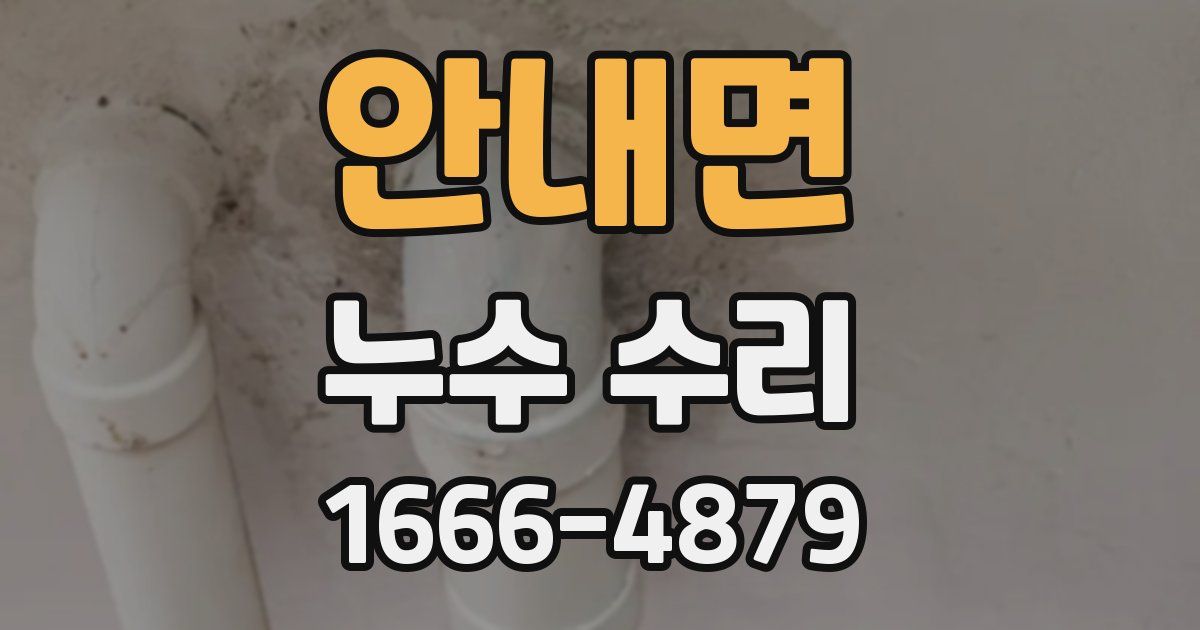 안내면 누수 수리