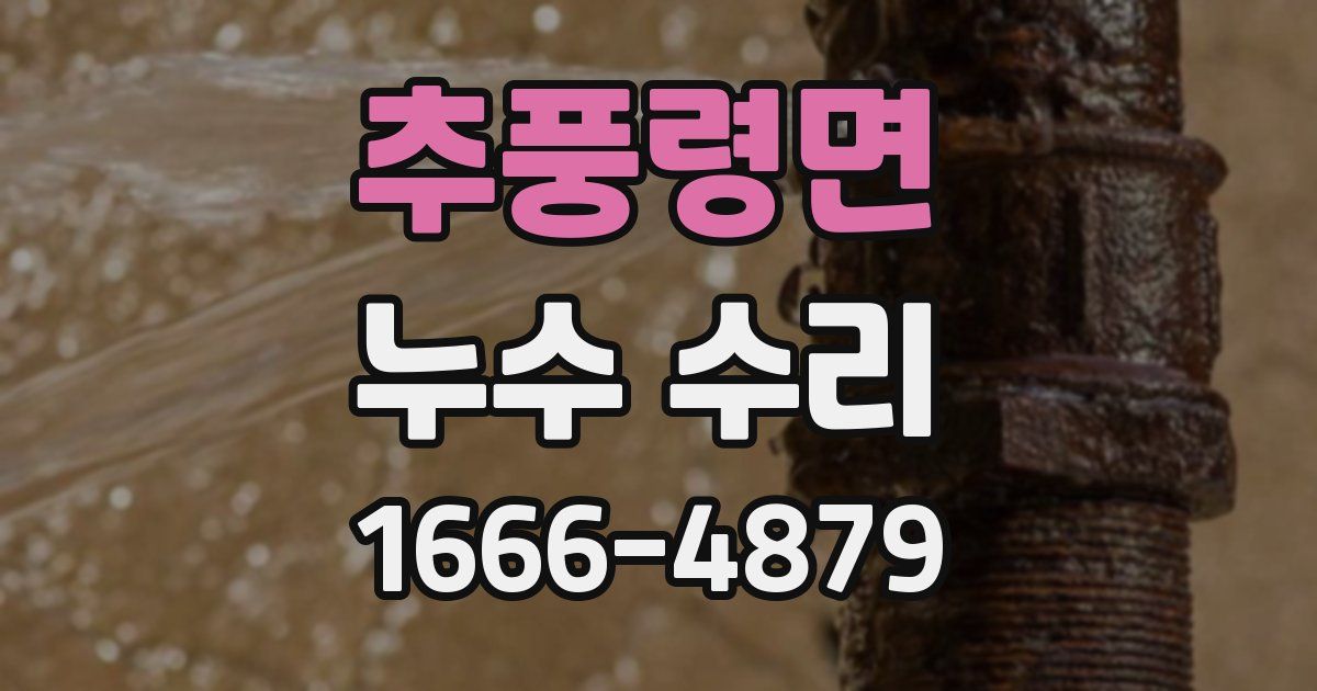 추풍령면 누수 수리