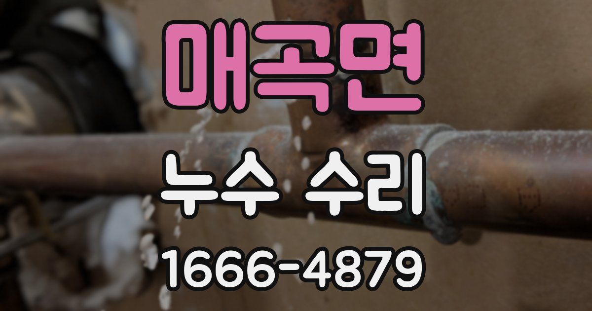 매곡면 누수 수리