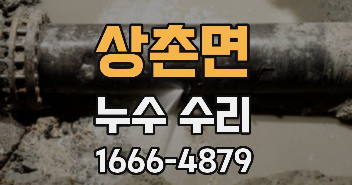 상촌면 누수 수리