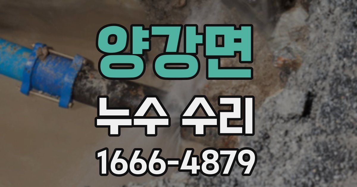 양강면 누수 수리